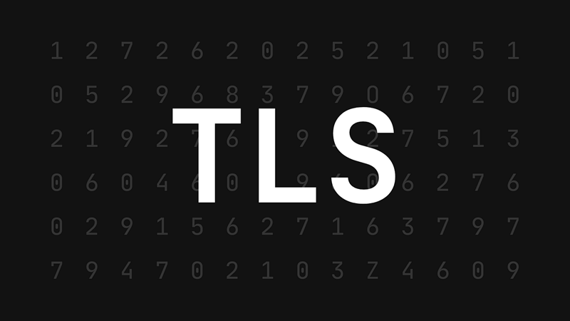 TLS 1.3: One Year Later 1