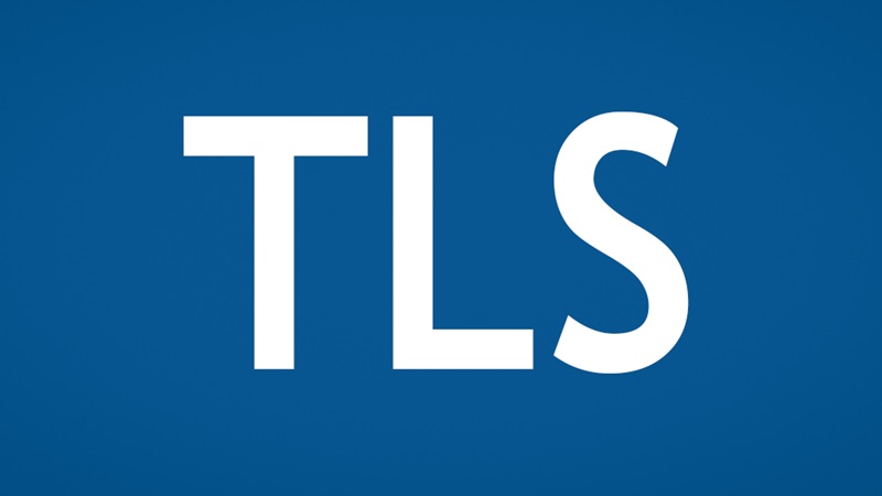 TLS 1.3: One Year Later 2